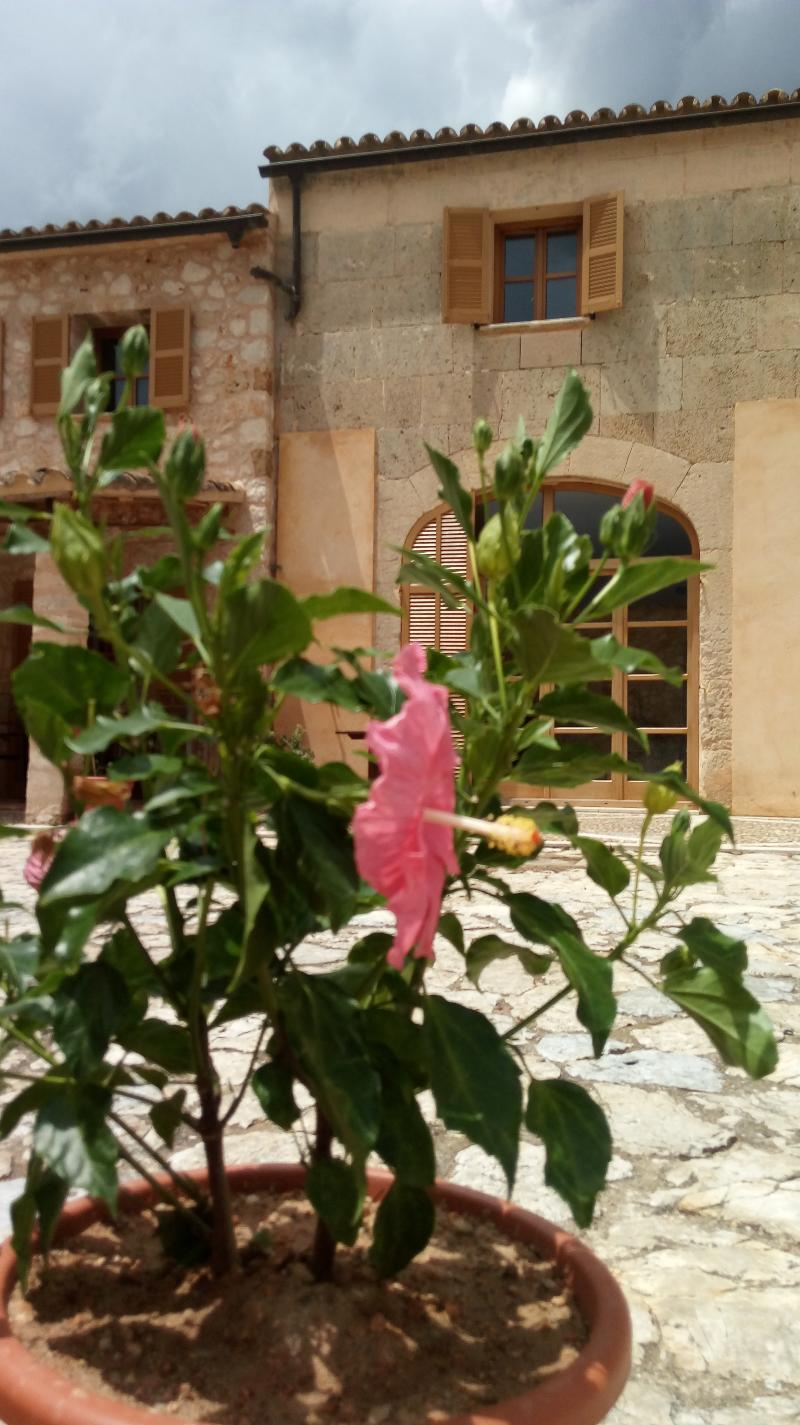 Casa di campagna Rural Es Riquers